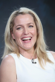 gilliana140116BZNimage3.jpg