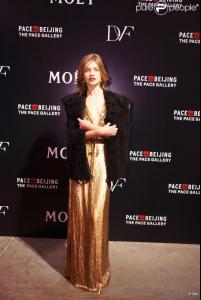 20110401DVFBeijing05.jpg