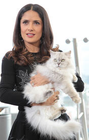 celebrity_paradise.com_TheElder_SalmaHayek2011_09_26_PremiereofPussinBootsinMoscow2.jpg