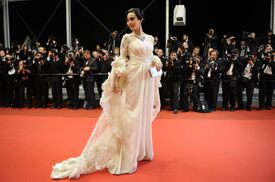Fan_Bingbing_Polisse_Premiere_Cannes104.jpg
