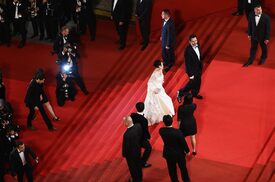 Fan_Bingbing_Polisse_Premiere_Cannes2.jpg