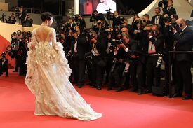 Fan_Bingbing_Polisse_Premiere_Cannes92.jpg