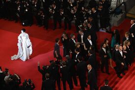 Fan_Bingbing_Polisse_Premiere_Cannes94.jpg