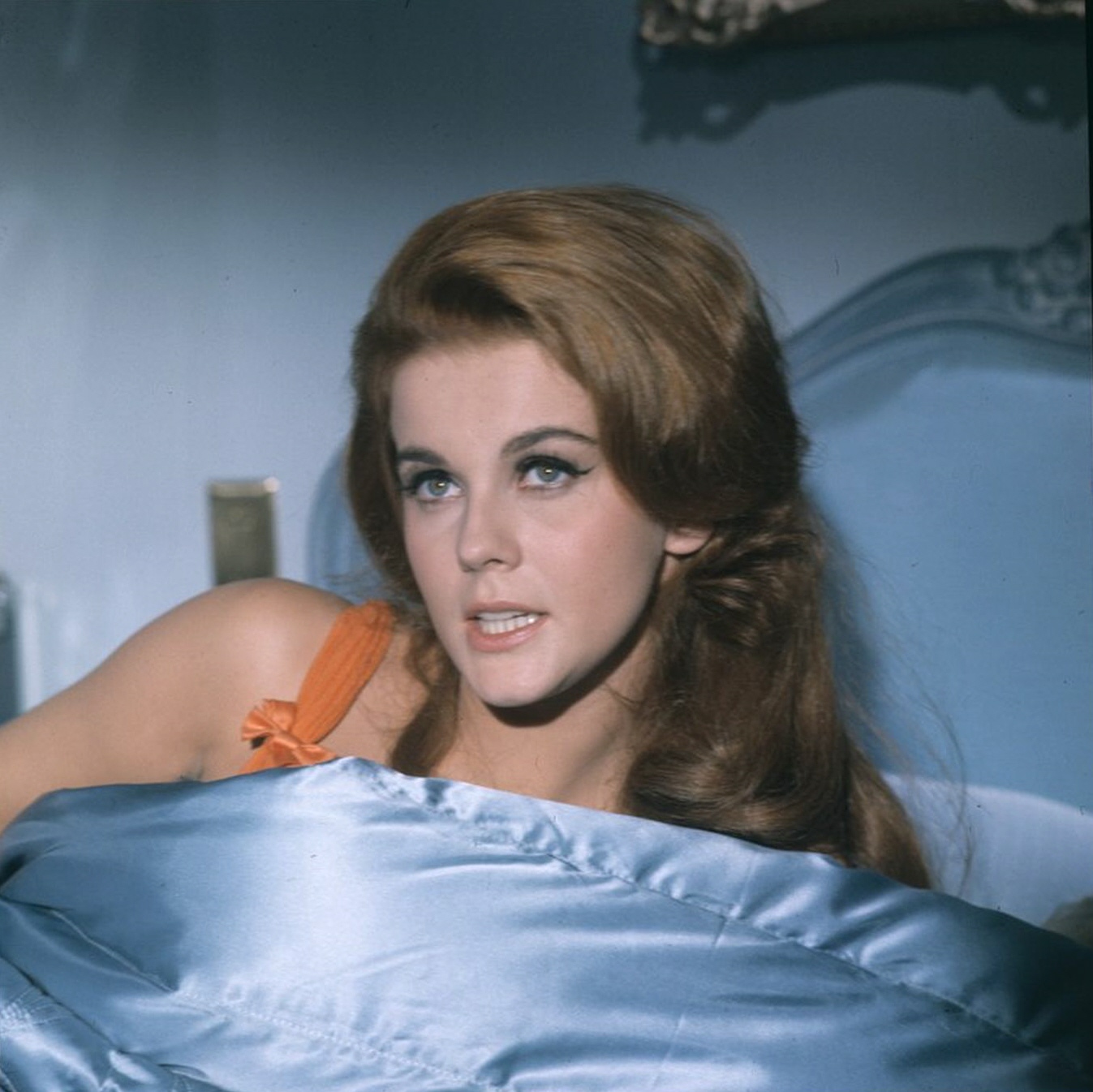 Ann Margret Fakes