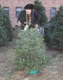 Bai Ling christmas tree shopping in Hollywood 20.12.2012_03.jpg