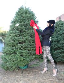 Bai Ling christmas tree shopping in Hollywood 20.12.2012_09.jpg