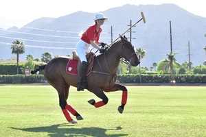 Zinta polo.JPG