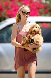 Abby-Champion-walks-her-dog-in-LA--18.jpg