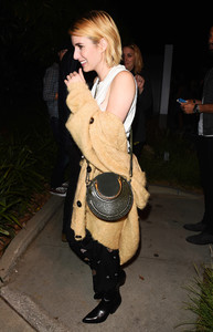 emma-roberts-attending-the-harry-styles-concert-in-la-92117-11.jpg