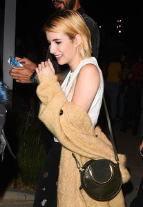 emma-roberts-attending-the-harry-styles-concert-in-la-92117-2.jpg