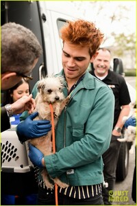 kj-apa-aspca-volunteer-with-bumble-winner-01.jpg