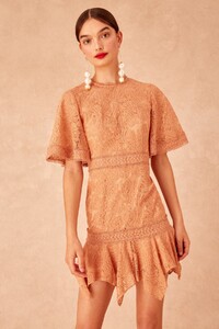 30190747_lonely_lace_mini_dress_234-fawn_g_0906.jpg