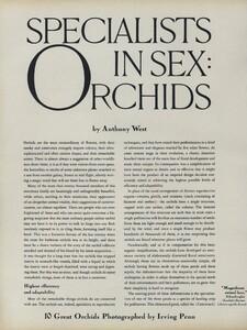 Orchild_Penn_US_Vogue_December_1970_01.thumb.jpg.f15e694089ae38beb3d5fd4b80d3cbf2.jpg