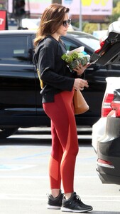 sophia-bush-out-shopping-in-west-hollywood-04-03-2019-1.jpg