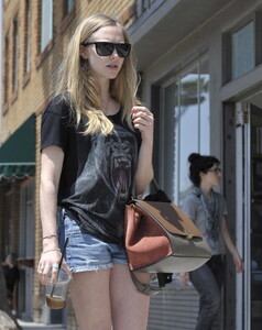 Amanda_Seyfried-Venice_Beach_5-11-12-002.jpg