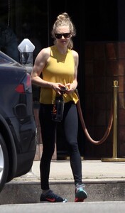 amanda-seyfried-at-a-gym-in-hollywood-04-21-2016_11.jpg