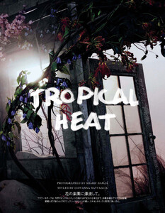 tropical_02.thumb.jpg.03b5d09d9a676fb6bff4a0ed64082b5f.jpg