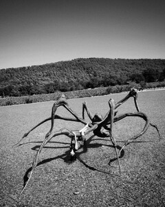 LOUISE BOURGEOIS.jpg