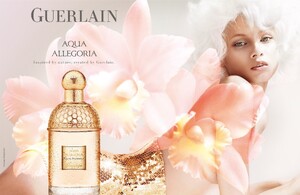 guerlain-aqua-allegoria-rosa-blanca-ad.jpg